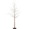 Gerson International 6 Foot Tall Prelit Birch Tree, Warm White Leds