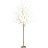 Gerson International 6 Foot Tall Prelit Birch Tree, Warm White Leds