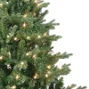 Kurt Adler 4.5-Foot Pre-Lit Clear Incandescent Jackson Pine Tree