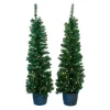 Kurt Adler 5-Foot Pre-Lit Potted Tree Set (Set Of 2 Trees)