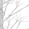 Kurt Adler 3-Foot White Birch Tree With Warm White Led 8 Function Lights