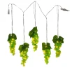 Kurt Adler 100-Light Green Led Grape Light Set With 5 Grape Bunches