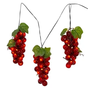 Kurt Adler 75-Light Led Large Purple Grape Light Set