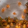 Gerson International Orange Glass Fall Pumpkin Fairy Light String, Halloween Decor