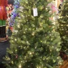 Puleo International 6.5 Pre-Lit Kensington Fir Tree #114-Ksg-65Qld5K6