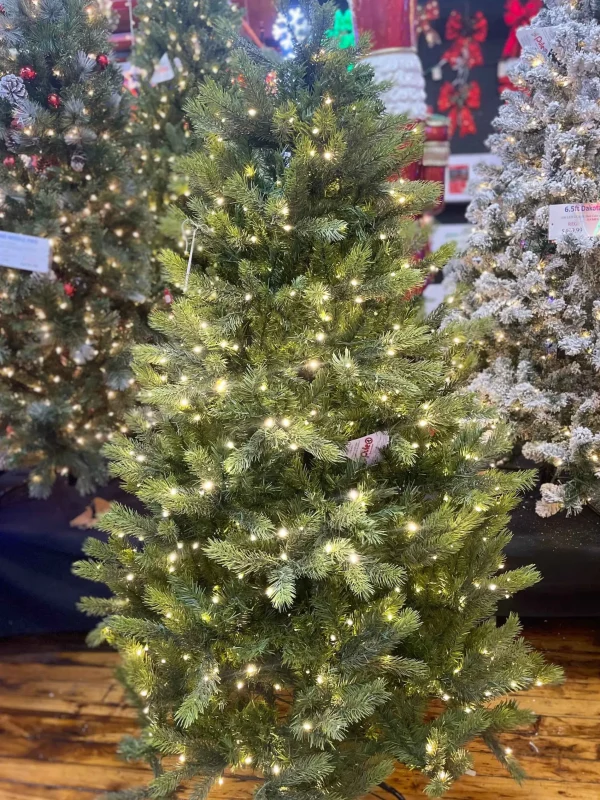 Puleo International 6.5 Pre-Lit Kensington Fir Tree #114-Ksg-65Qld5K6