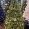 Puleo International 6.5Ft Pre-Lit Real-Feel Washington Valley Spruce Quick Connect Tree With Warm White Led Lights #114-Wvg-65Qldf3K10
