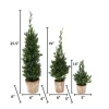 Gerson International Set Of 3 Slim Potted Christmas Trees